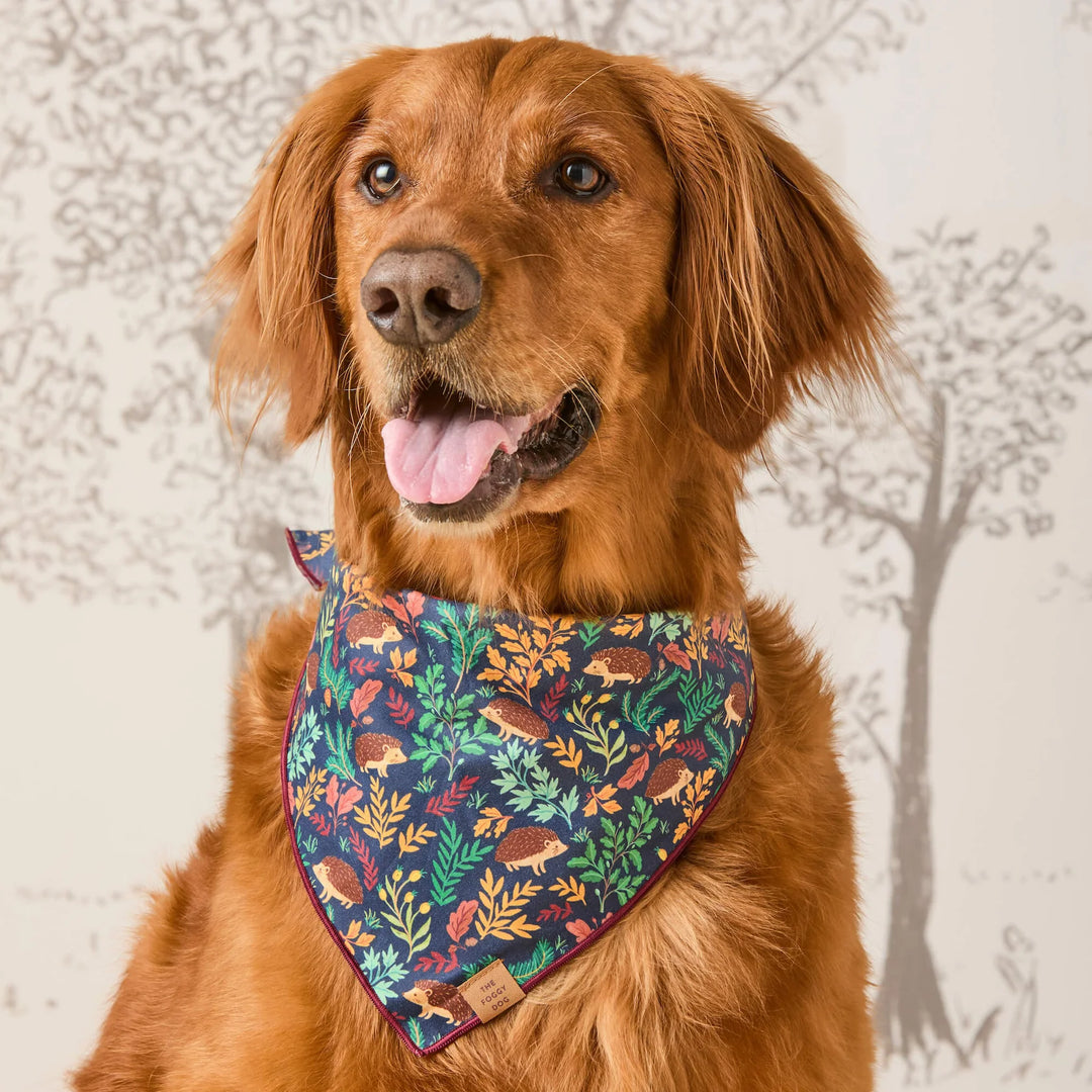 Hedgehog Hollow Bandana