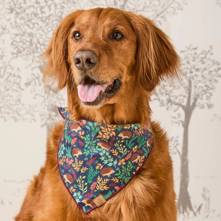 Hedgehog Hollow Bandana