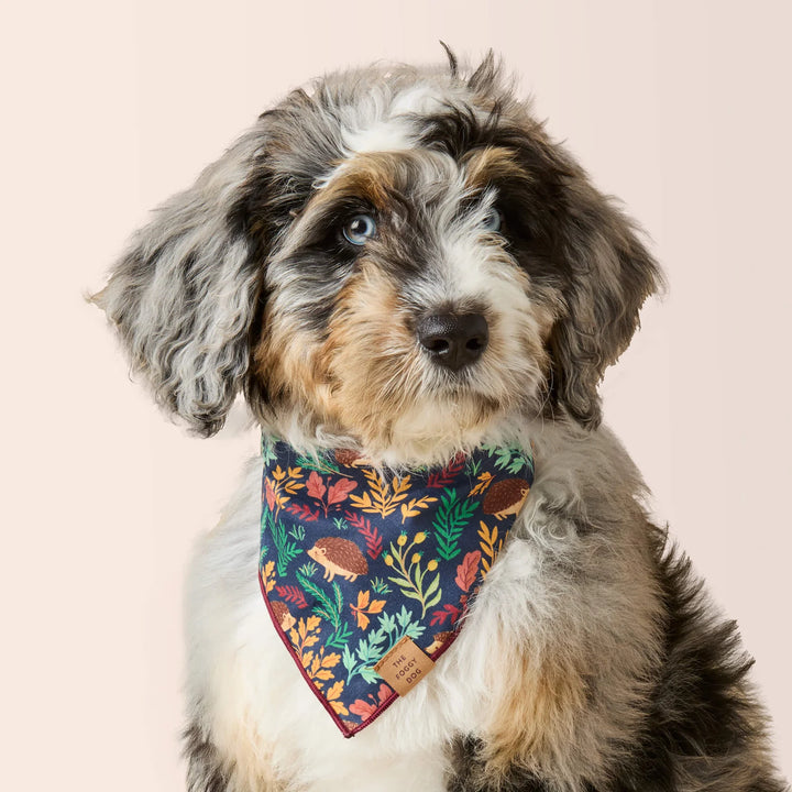 Hedgehog Hollow Bandana