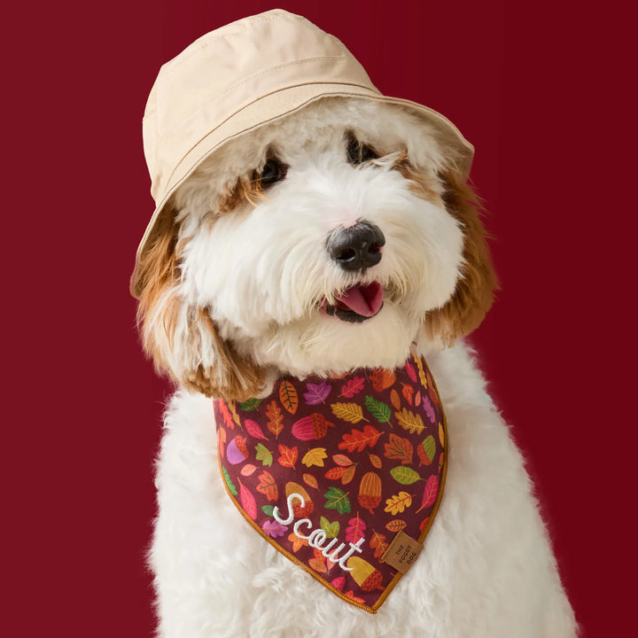 Nuts About You Bandana