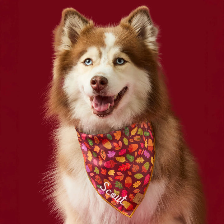 Nuts About You Bandana