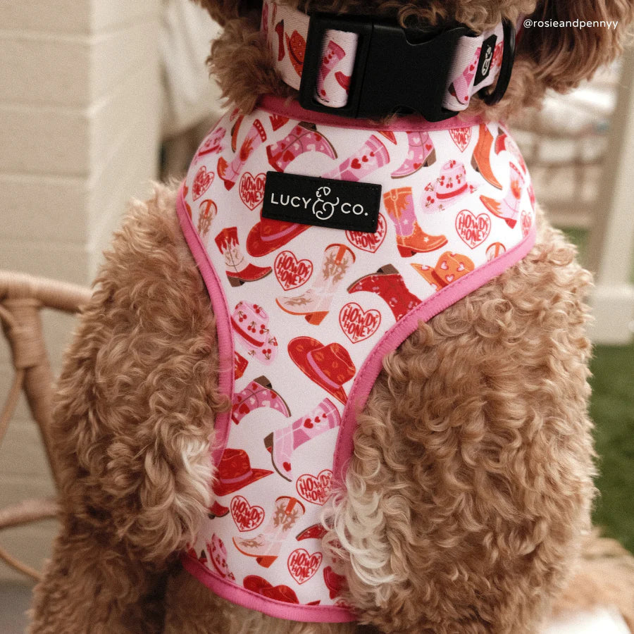 Howdy, Honey Reversible Harness