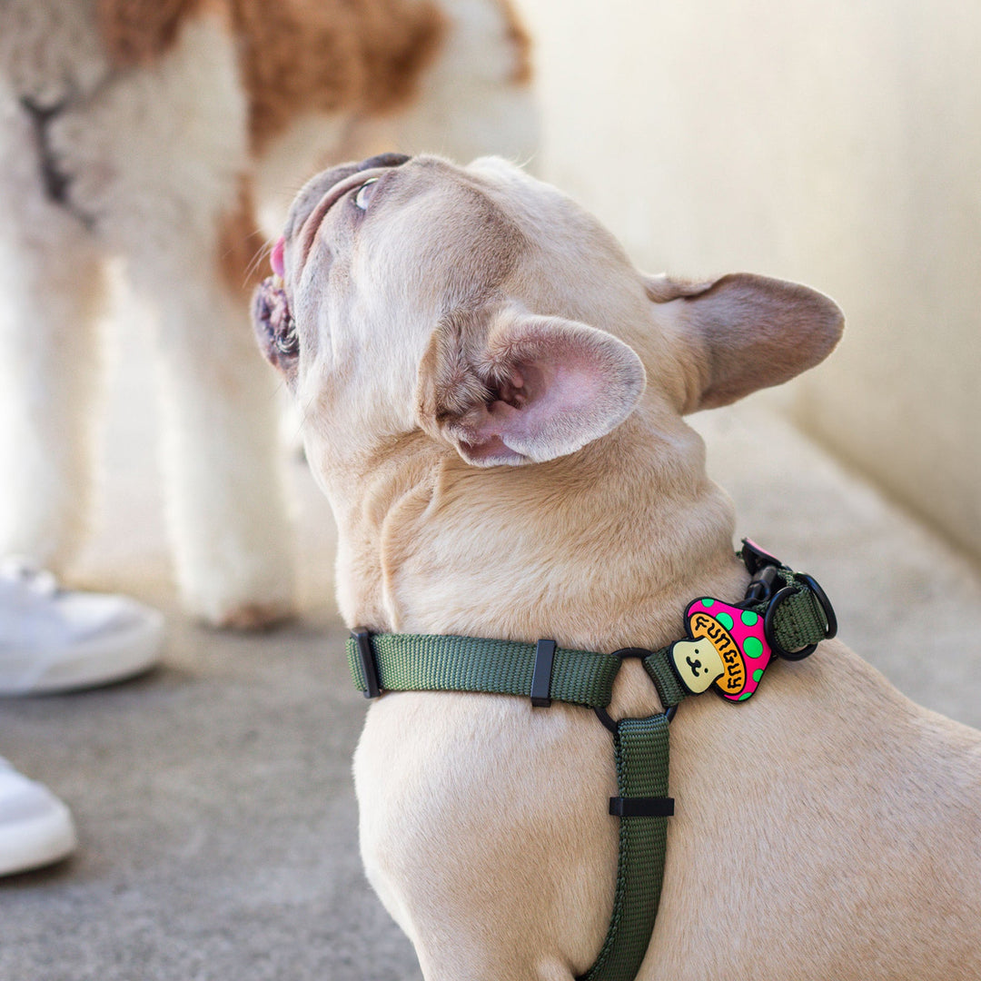 JIBY Dog Badge