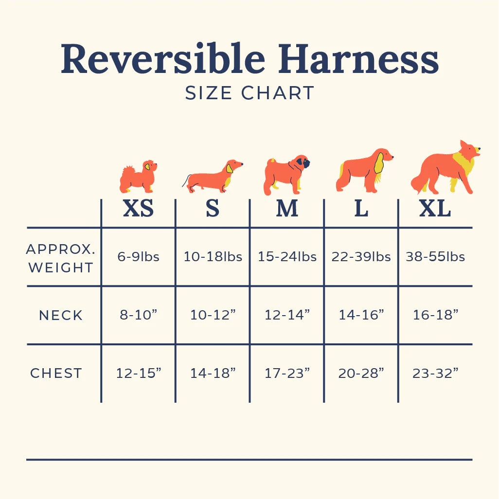 Howdy, Honey Reversible Harness
