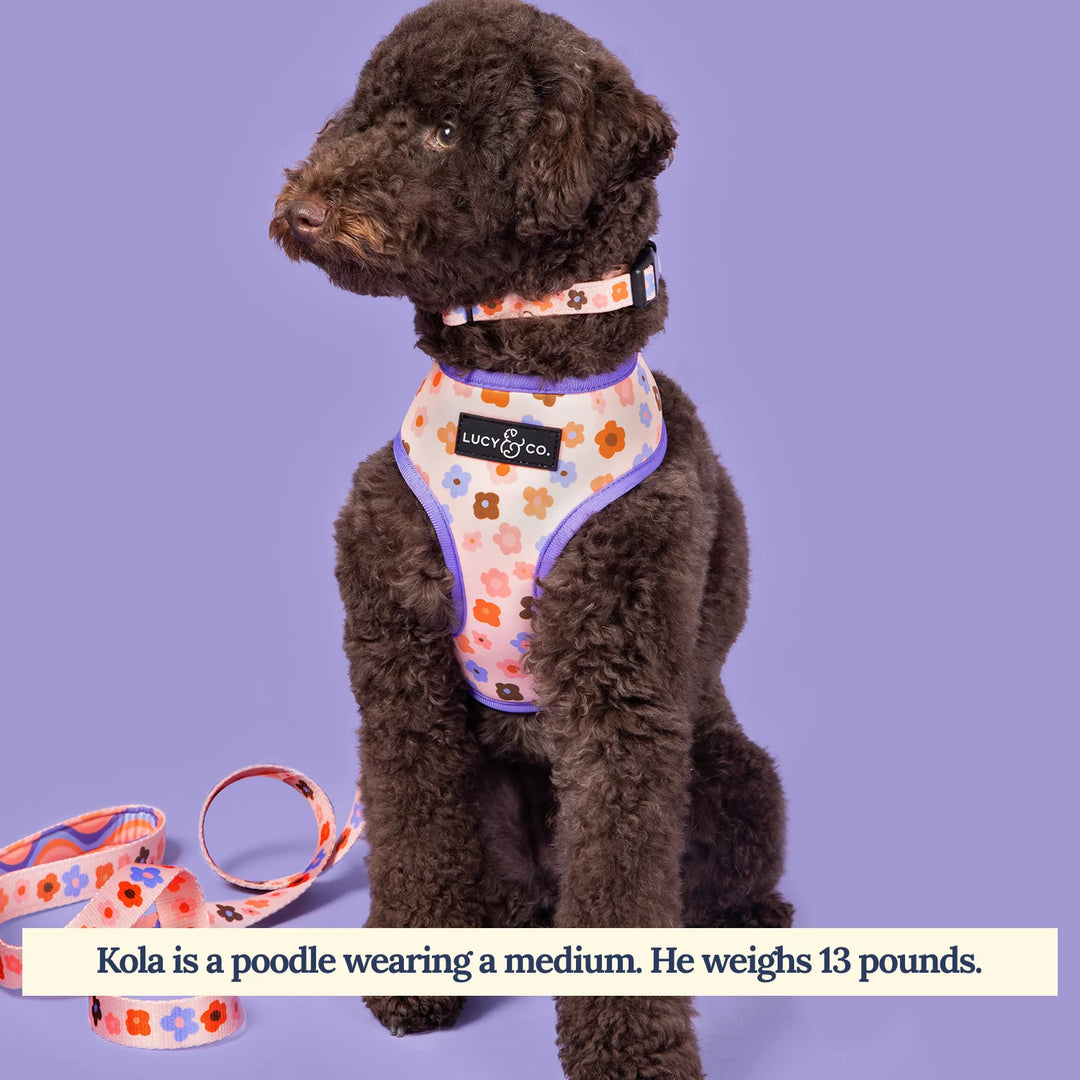 Let’s Groove Reversible Harness