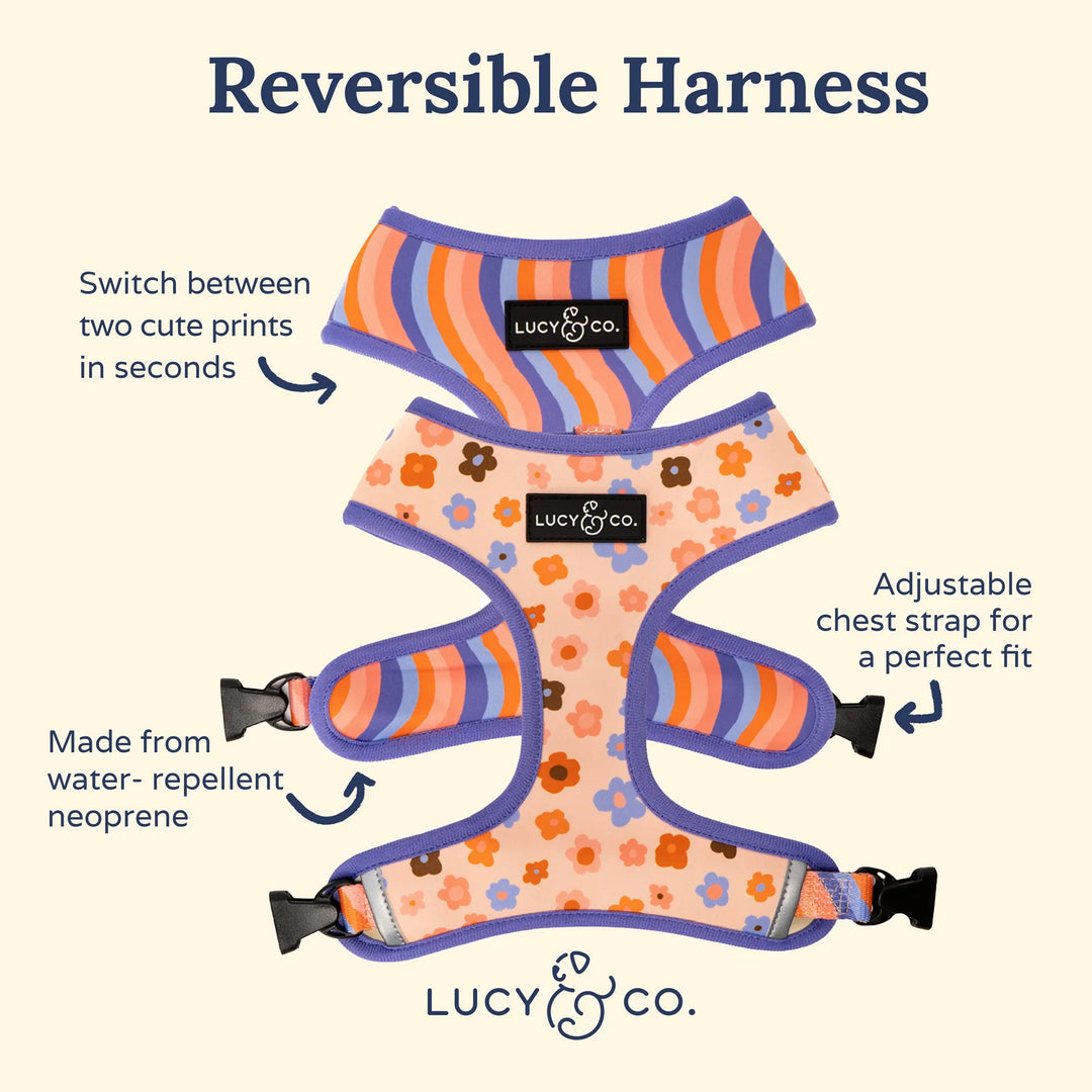 Let’s Groove Reversible Harness