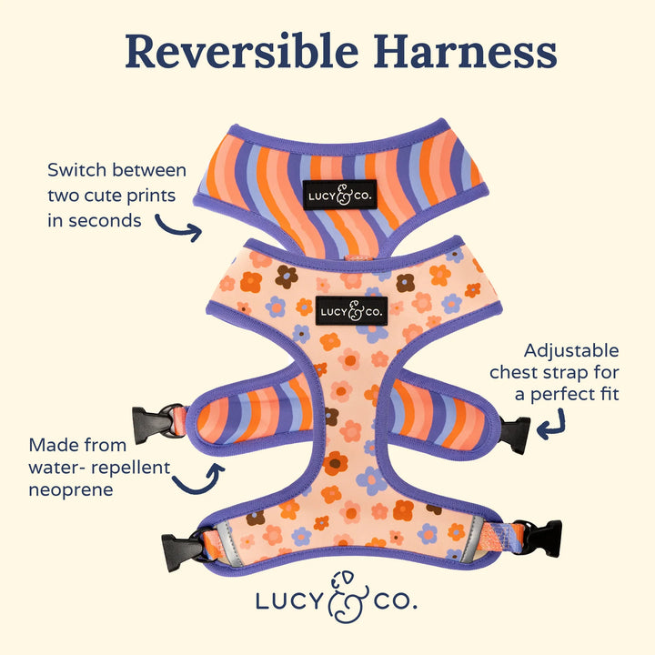 Let’s Groove Reversible Harness