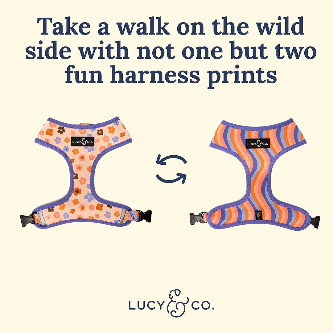 Let’s Groove Reversible Harness