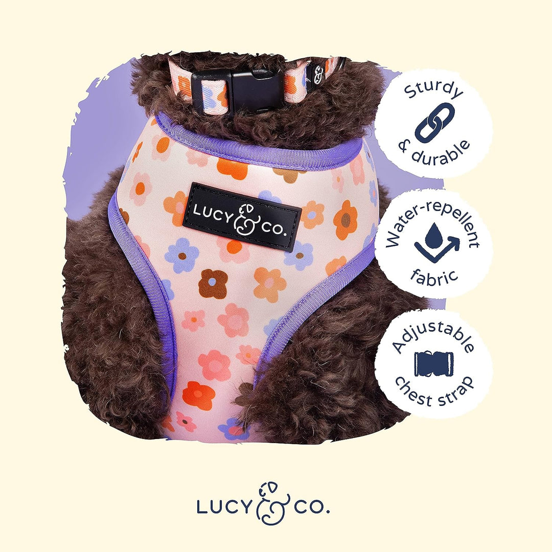 Let’s Groove Reversible Harness