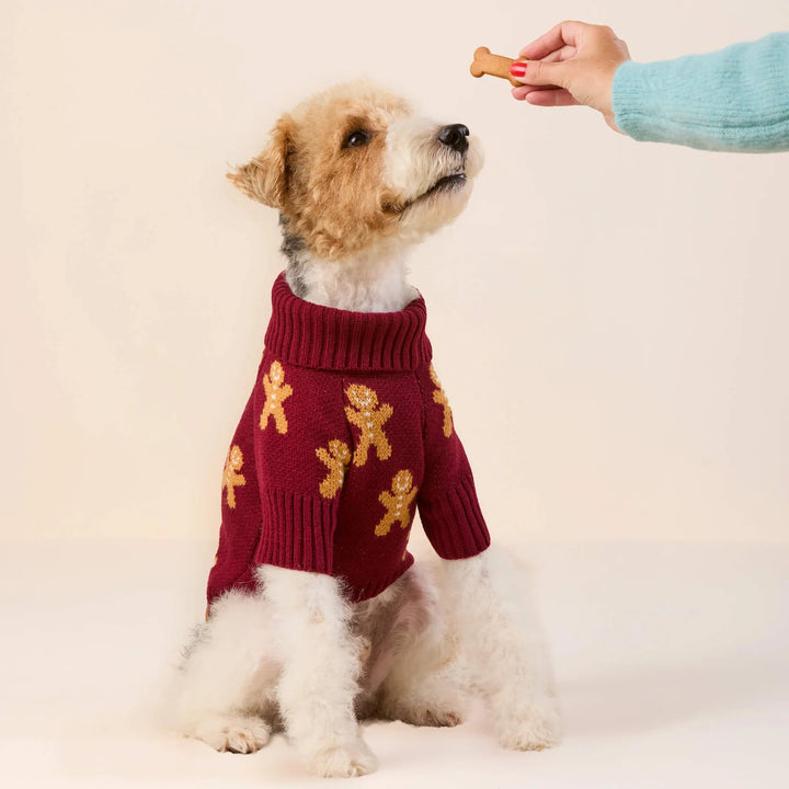 Gingerbread Man Dog Sweater