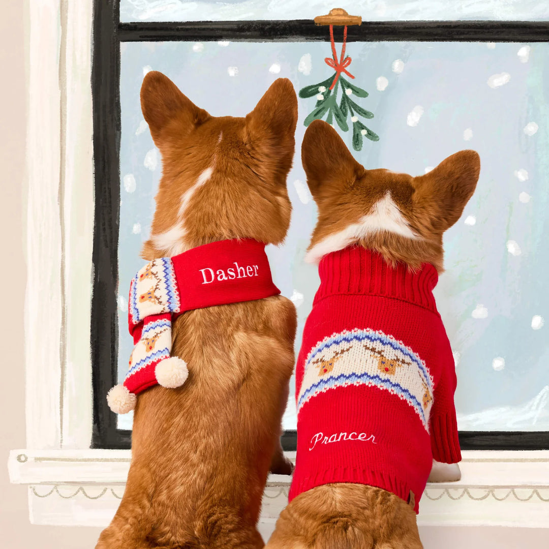 Reindeer Fair Isle Bobble Dog Sweater