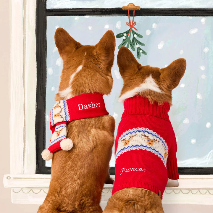 Reindeer Fair Isle Bobble Dog Sweater