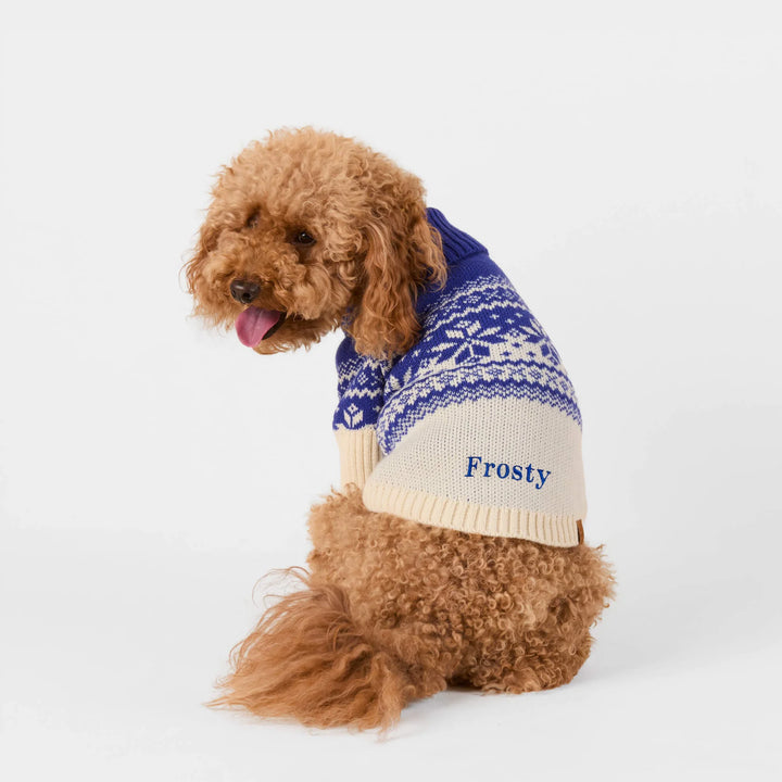 Snow Day Dog Sweater