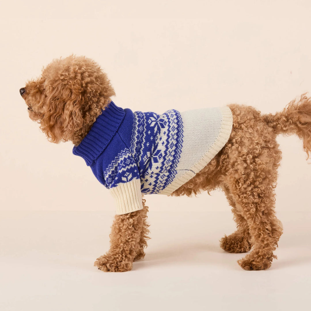 Snow Day Dog Sweater