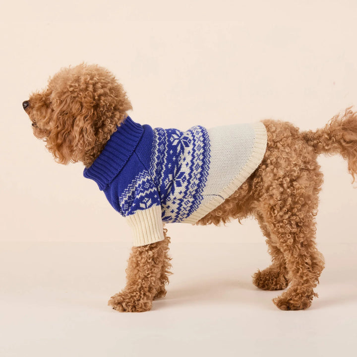 Snow Day Dog Sweater