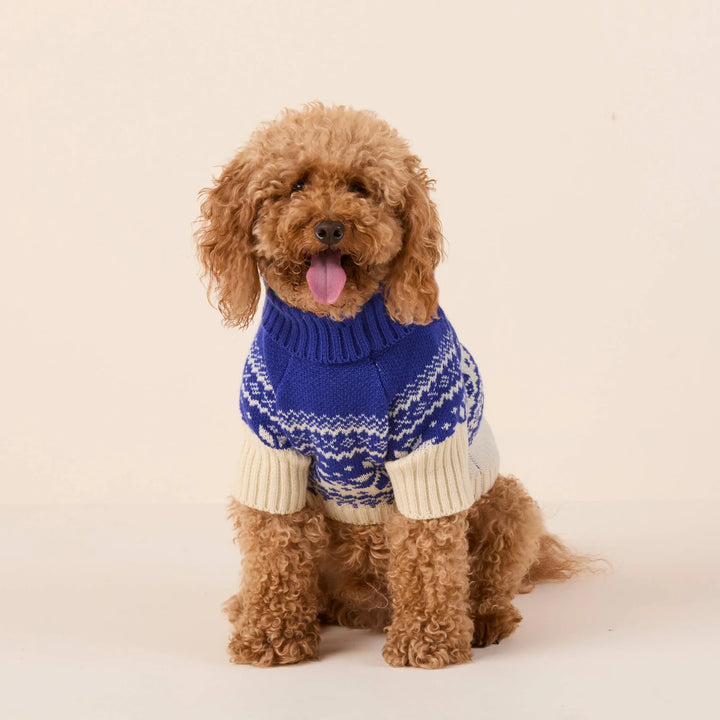 Snow Day Dog Sweater