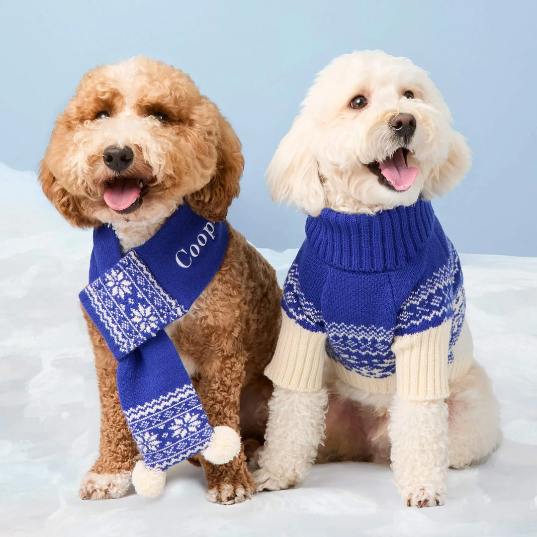 Snow Day Dog Sweater