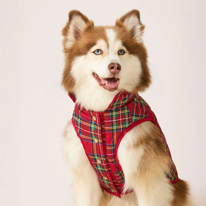 Tartan Reversible Dog Jacket