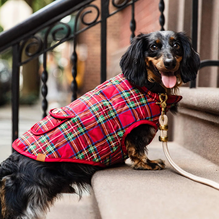 Tartan Reversible Dog Jacket