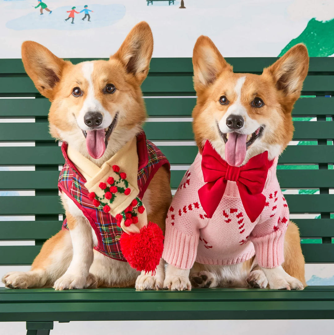 Tartan Reversible Dog Jacket