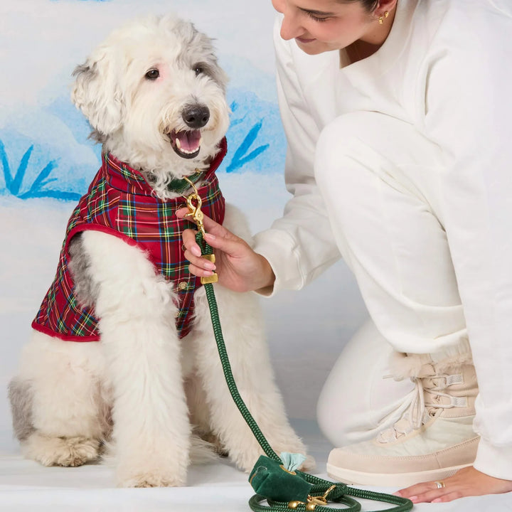 Tartan Reversible Dog Jacket