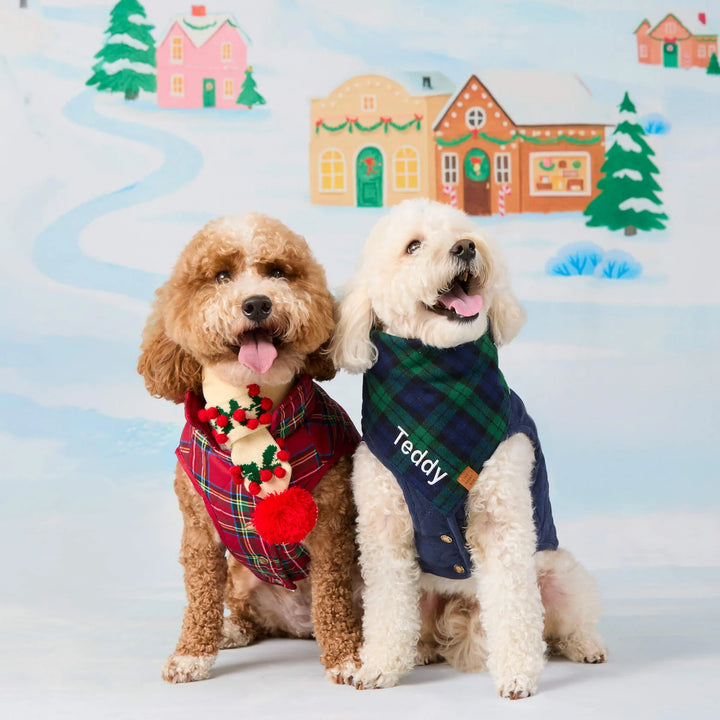 Tartan Reversible Dog Jacket