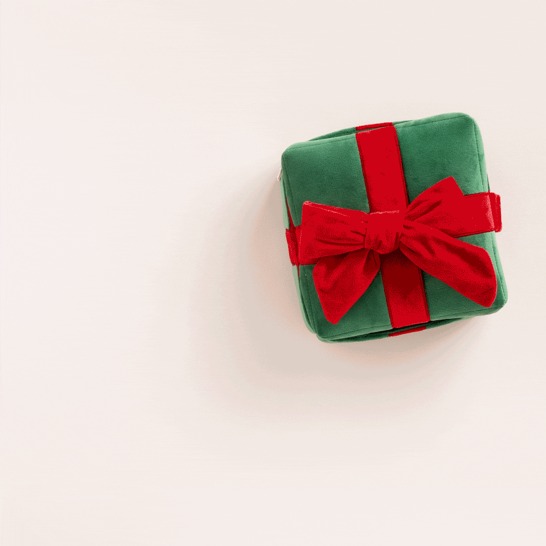 Holiday Present Interactive Snuffle Dog Toy