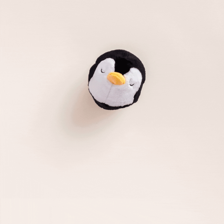 Penguin 2-in-1 Bounce Dog Toy