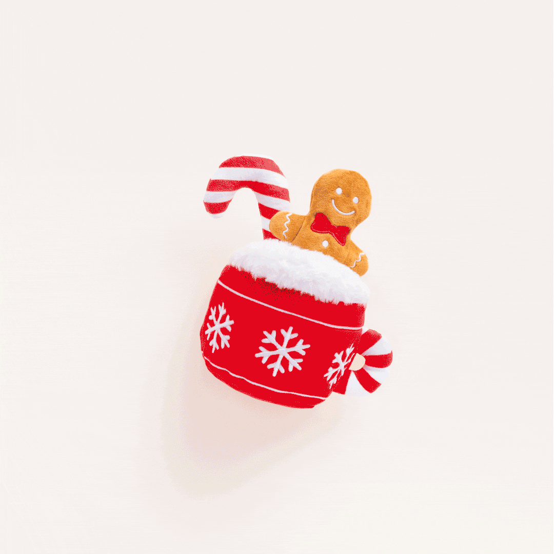 Holiday Hot Cocoa Interactive Snuffle Dog Toy