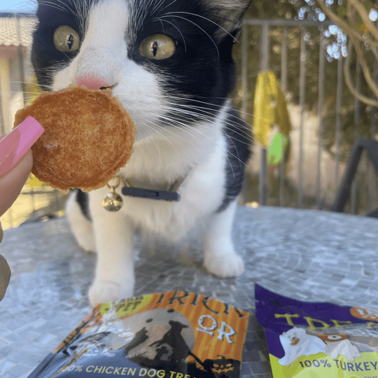 Halloween Chicken & Turkey Treats for Dogs & Cats