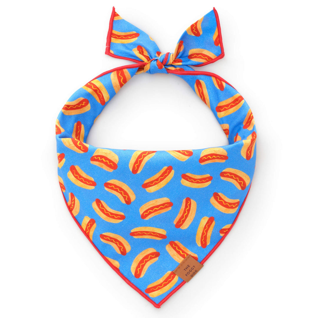 Hot Diggity Dog Summer Bandana