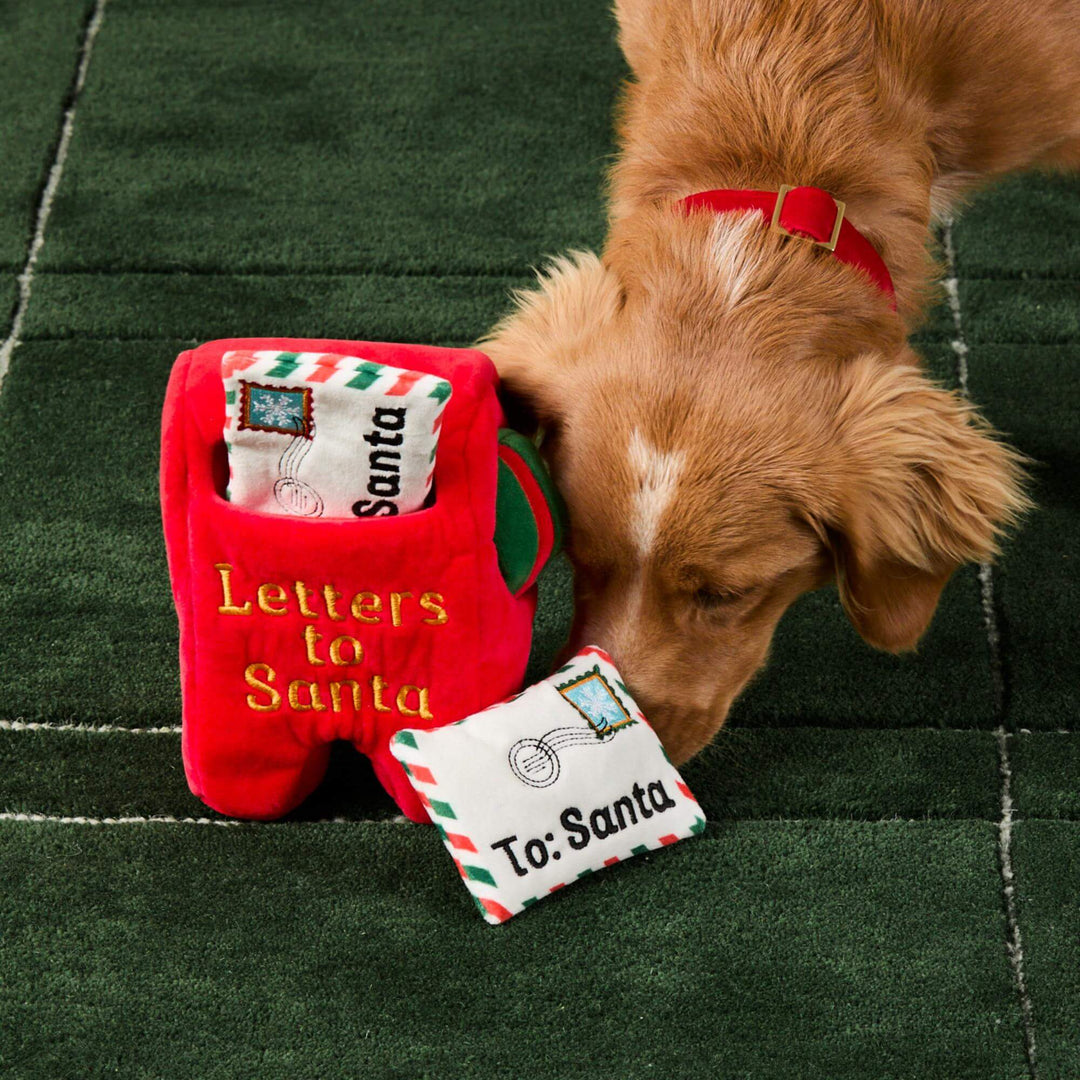 Letters to Santa Interactive Snuffle Dog Toy