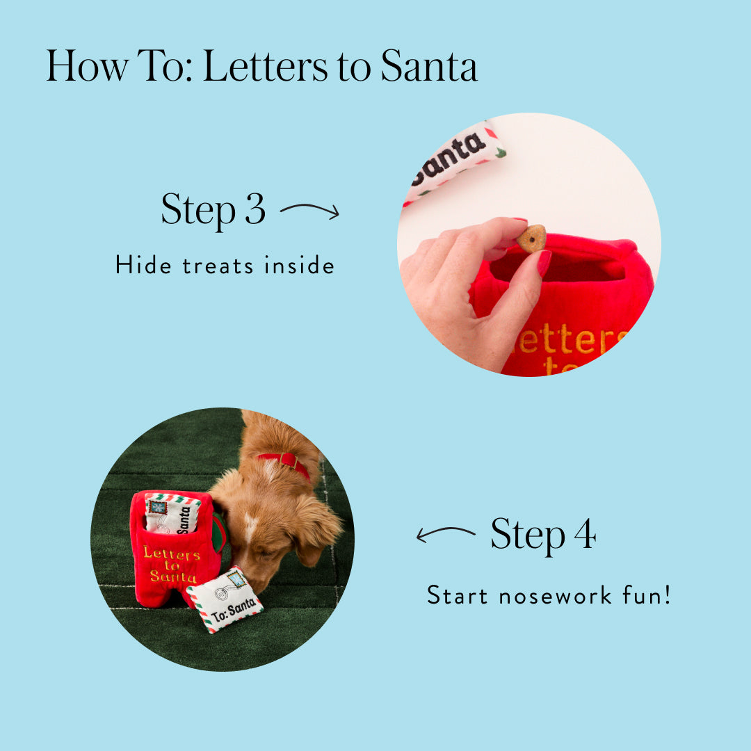 Letters to Santa Interactive Snuffle Dog Toy
