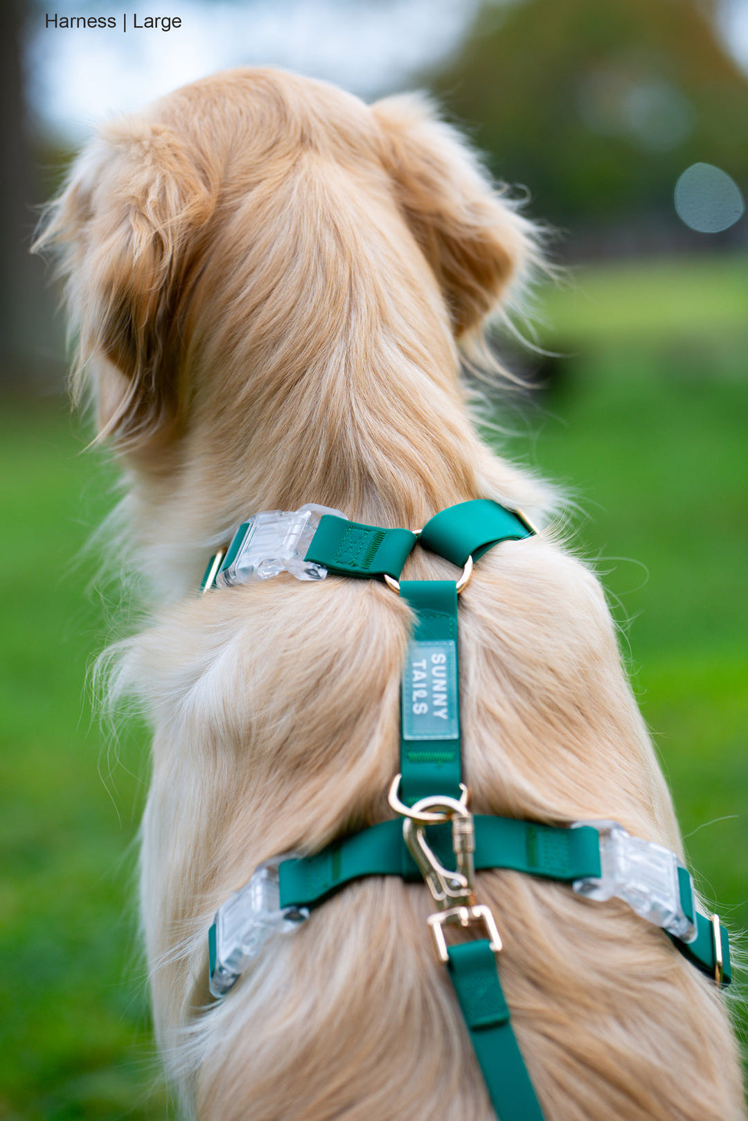 Cloud Lite Harness