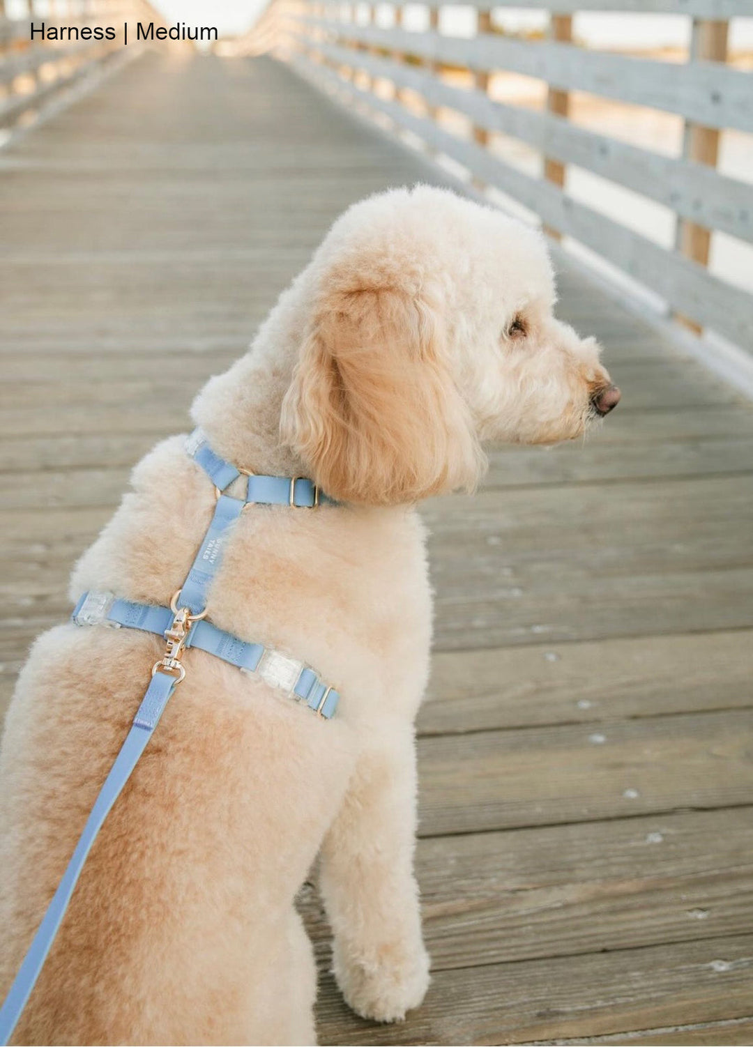 Cloud Lite Harness