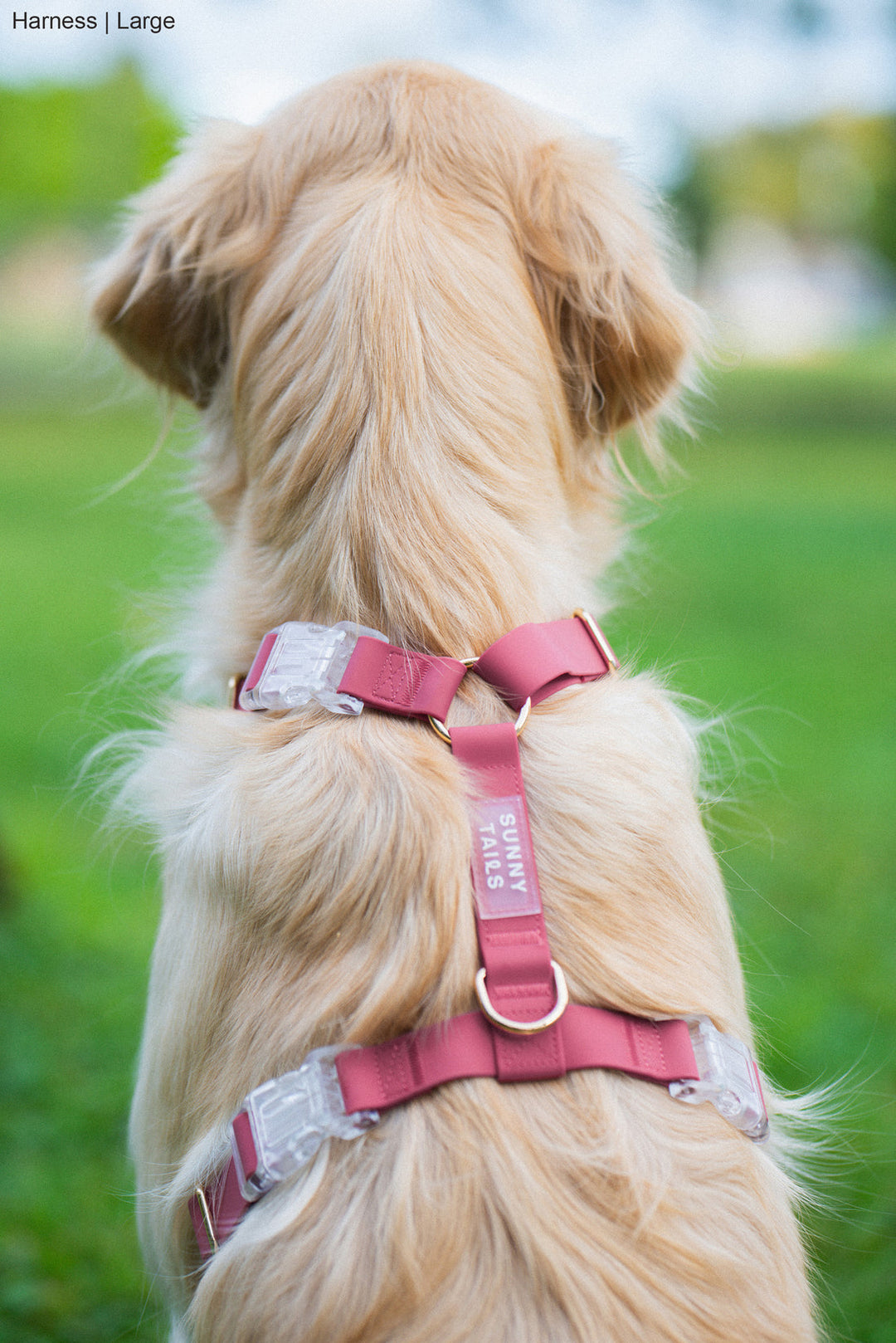 Cloud Lite Harness