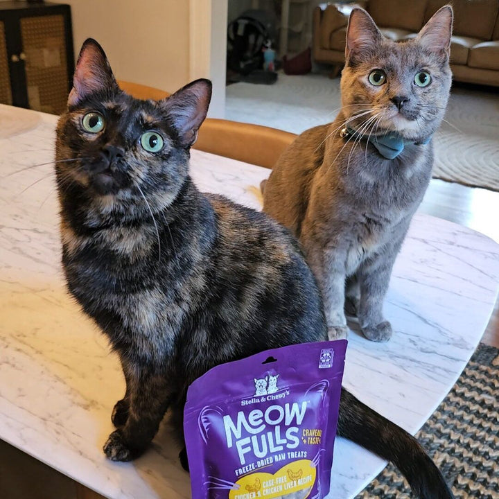 Meowfulls Freeze-Dried Raw Cat Treats