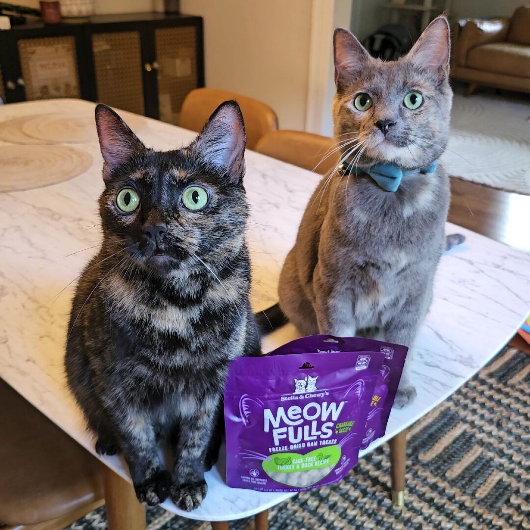 Meowfulls Freeze-Dried Raw Cat Treats