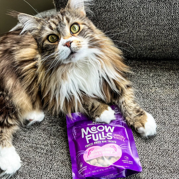 Meowfulls Freeze-Dried Raw Cat Treats