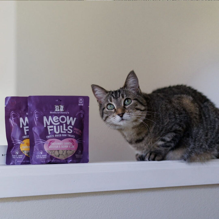 Meowfulls Freeze-Dried Raw Cat Treats