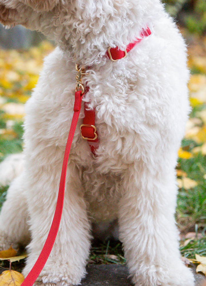 Cloud Lite Harness