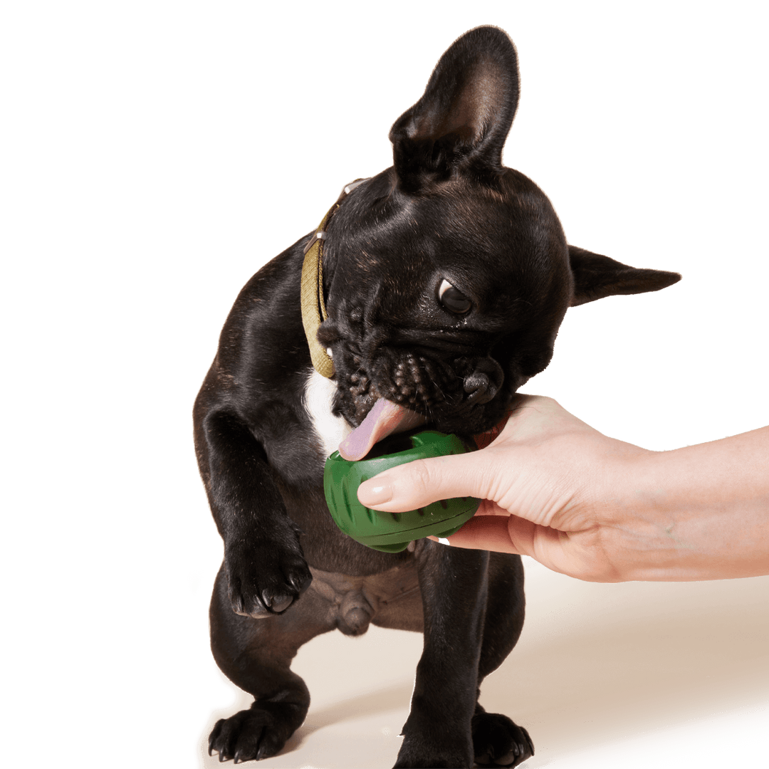 Pupsicle Treat Tray