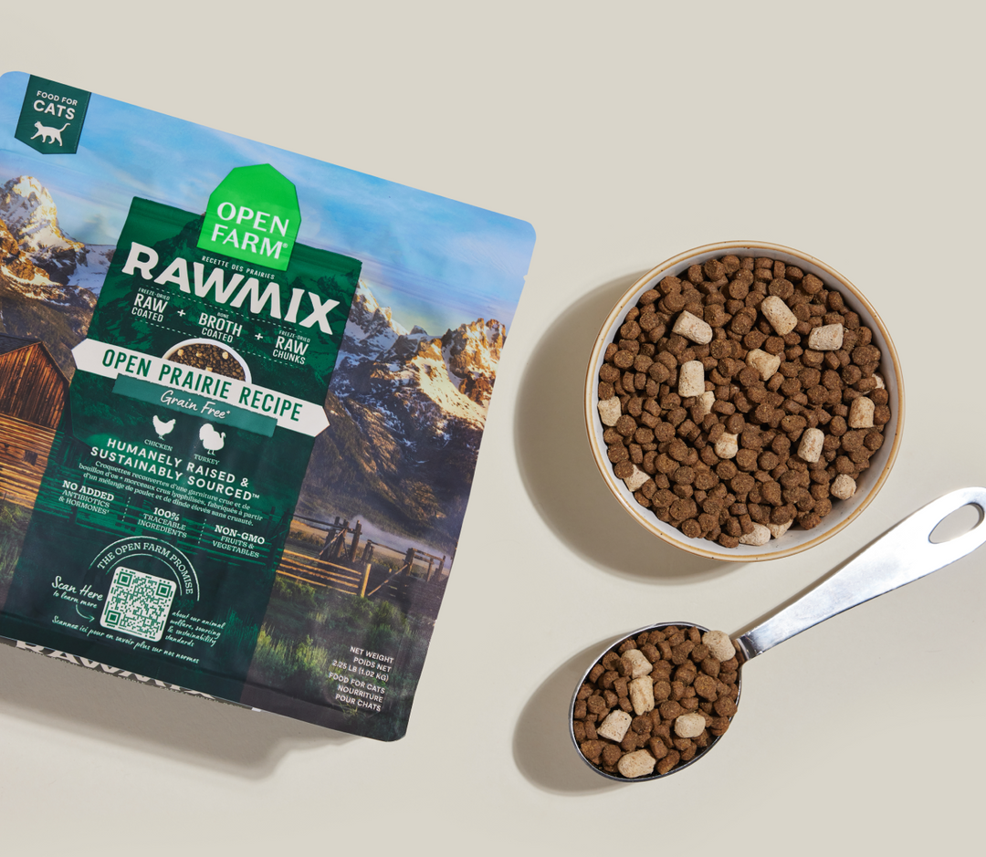 Grain-Free RawMix for Cats