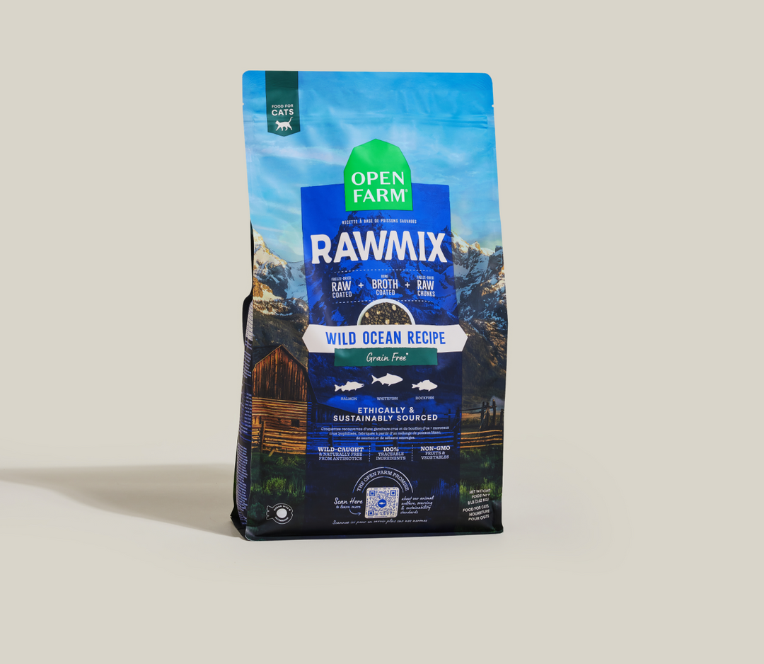Grain-Free RawMix for Cats