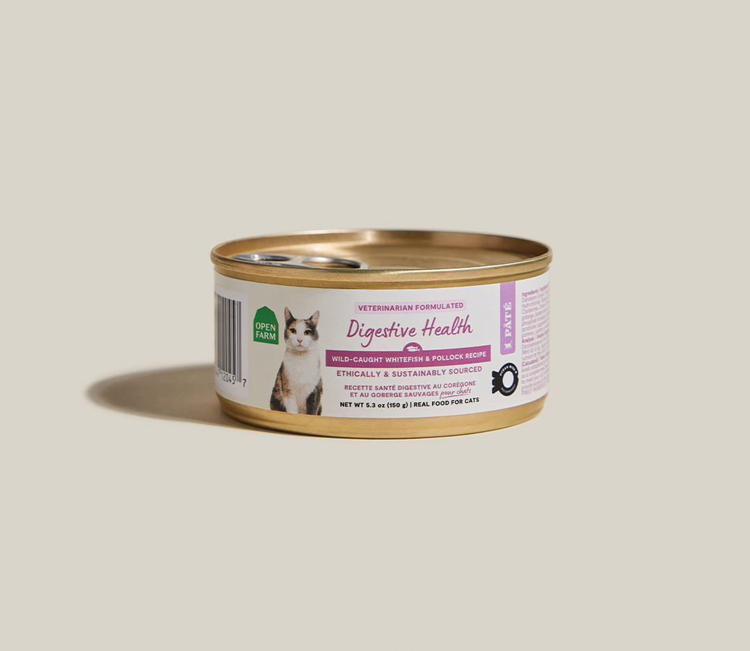 Tailored Needs Pâté for Cats