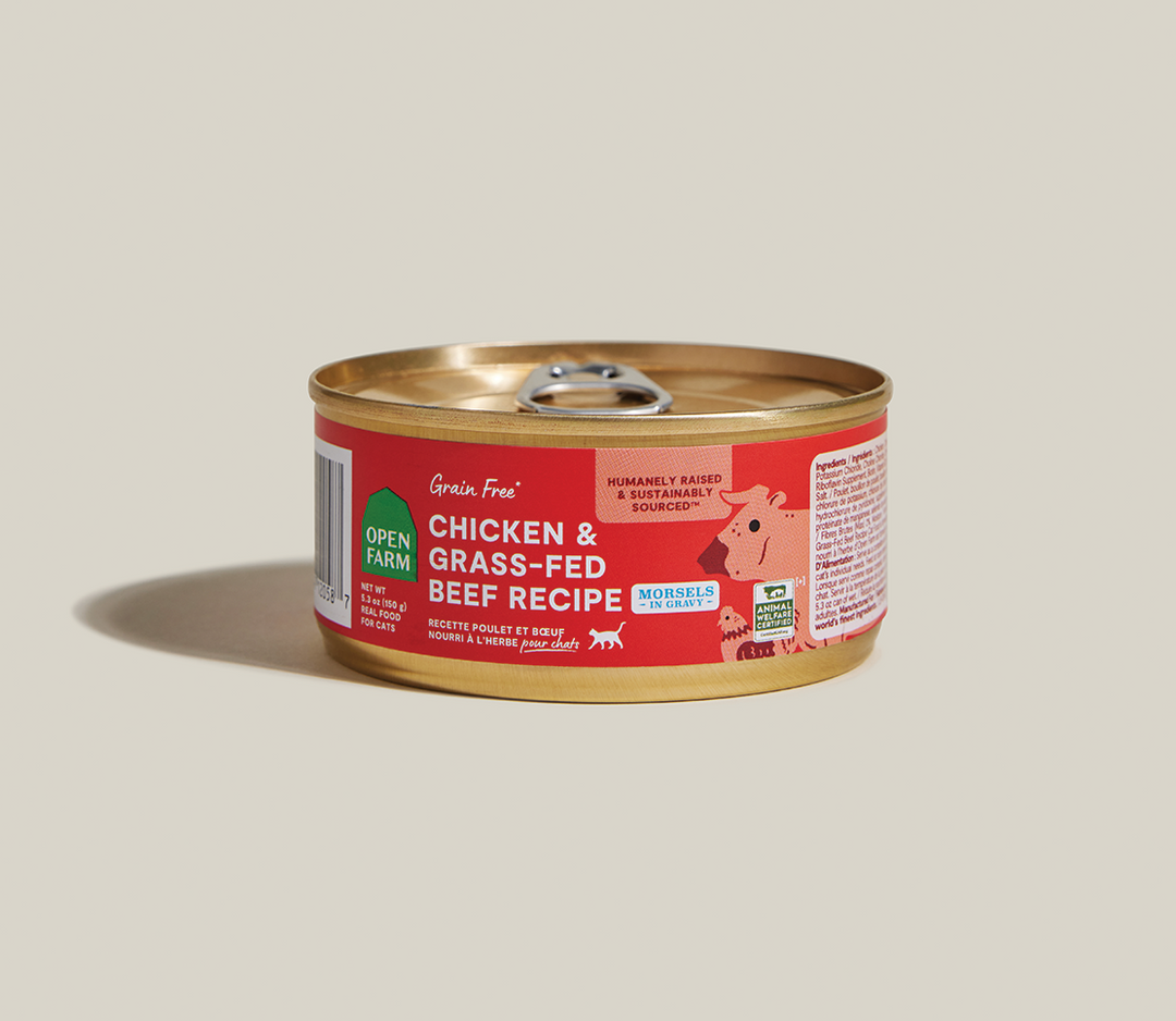 Morsels in Gravy for Cats