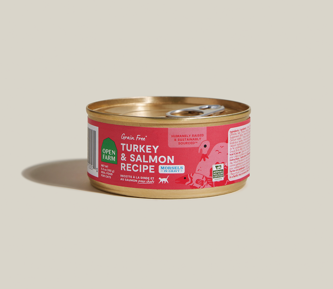 Morsels in Gravy for Cats