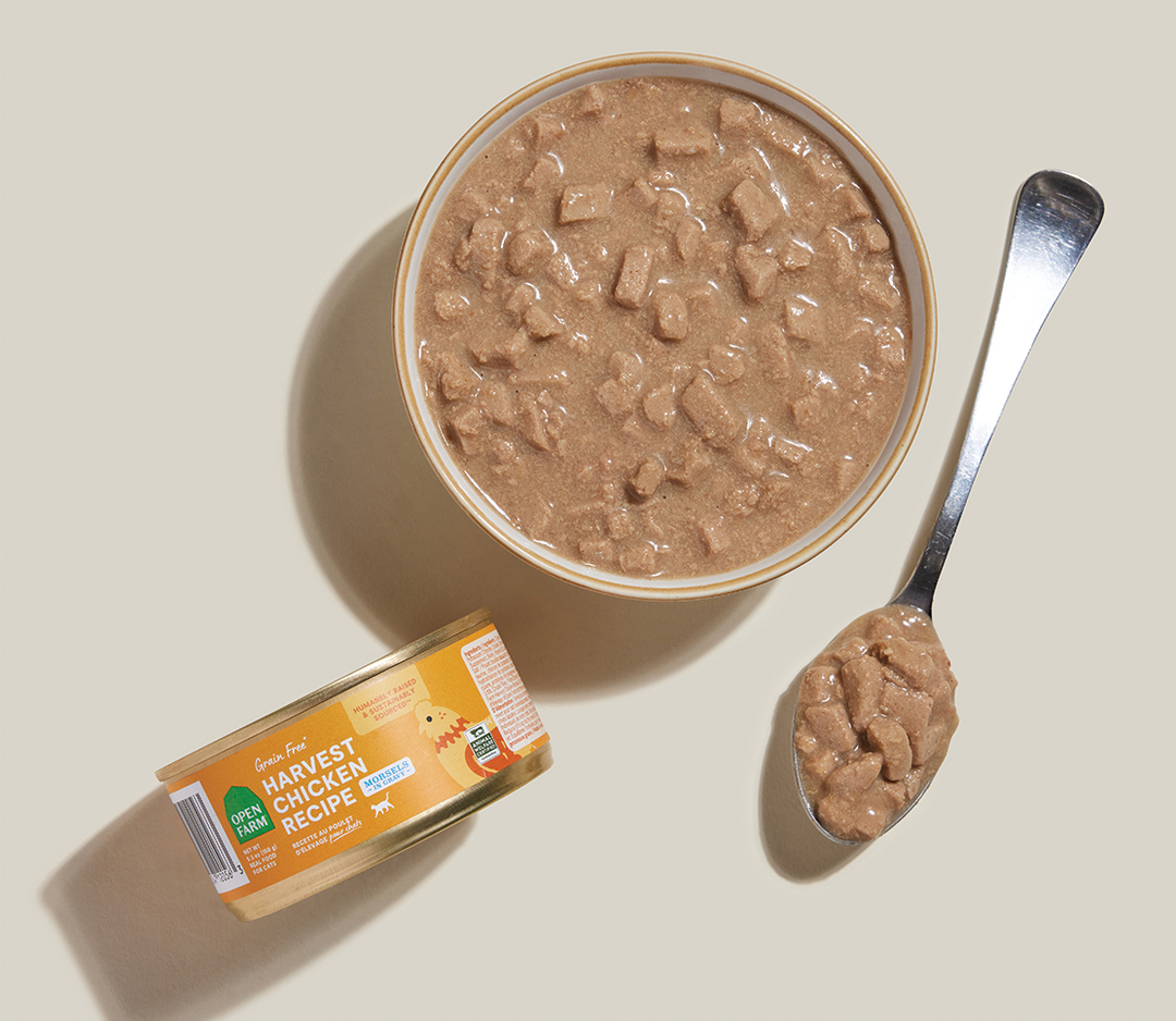 Morsels in Gravy for Cats