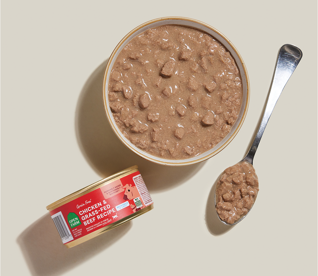 Morsels in Gravy for Cats