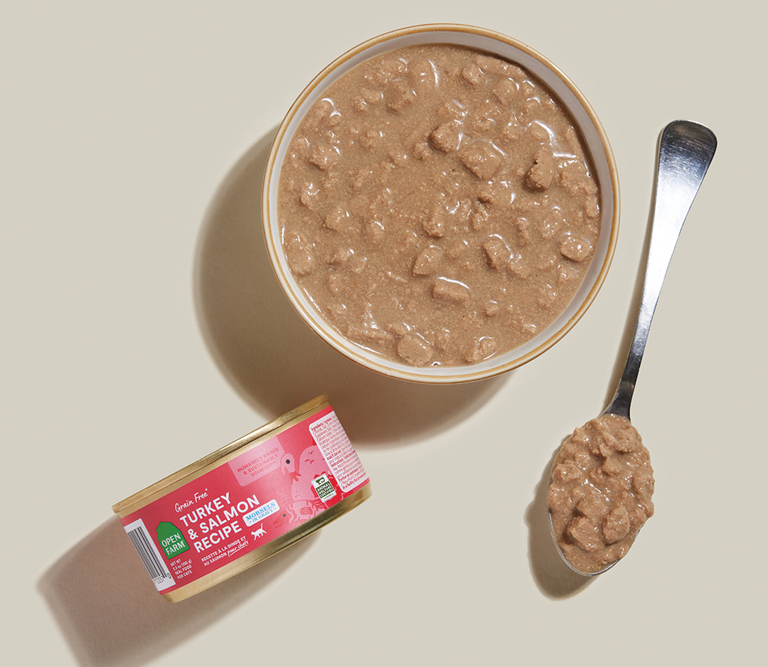Morsels in Gravy for Cats